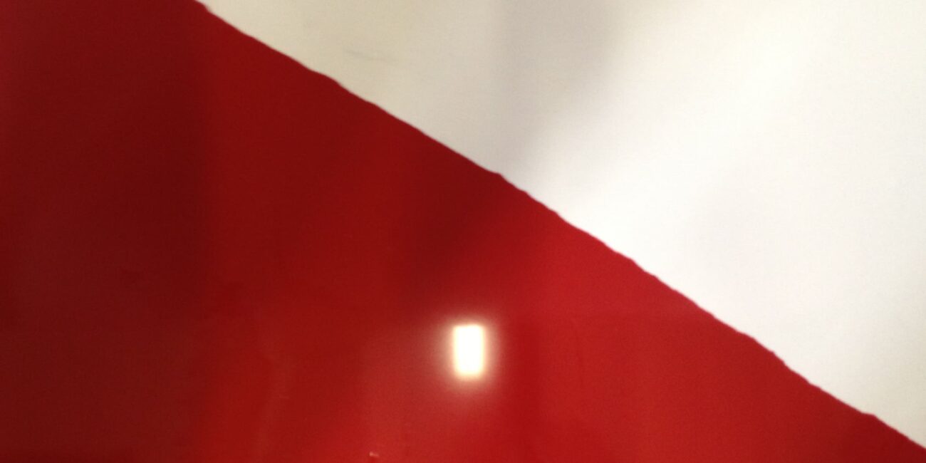 ex unione militare: dettaglio rivestimento