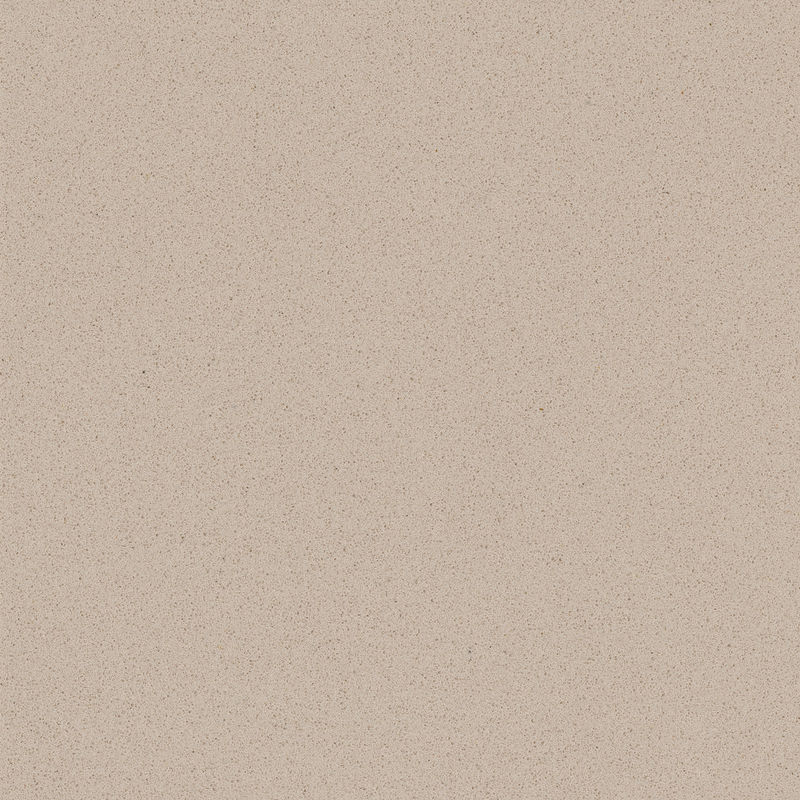 elephant grey