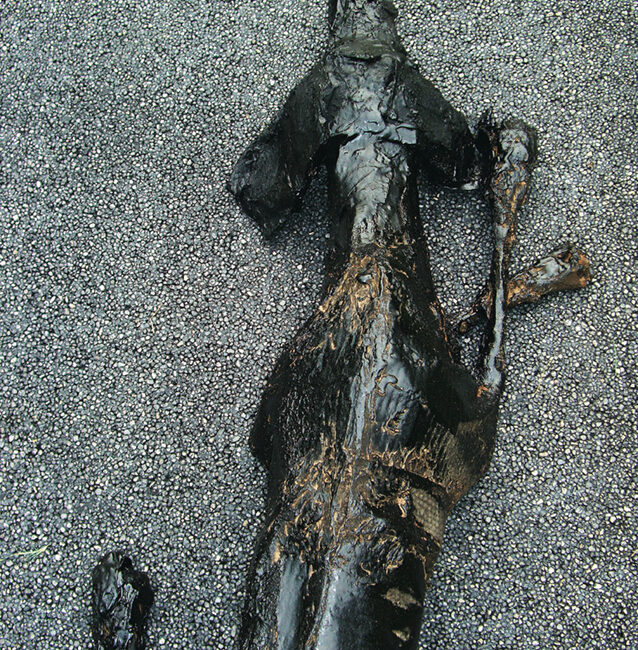 stone-italiana-montanelli-vitali-biennale-di-venezia-off-leash1