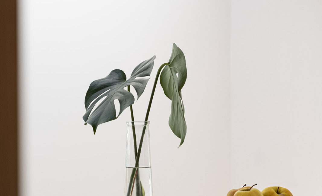 ©ElisaFedrizzi_casa Chiusole (38)