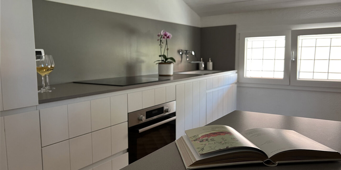 stone-italiana-top-cucina-bancone-quarzo-micro-greige2