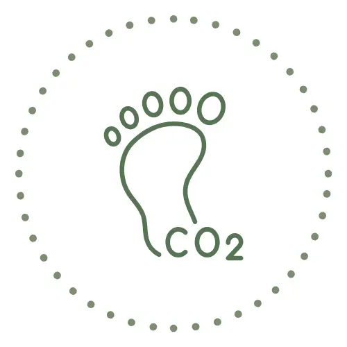 Carbon Footprint