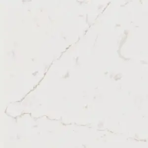ARAVENIS BROWN SNV