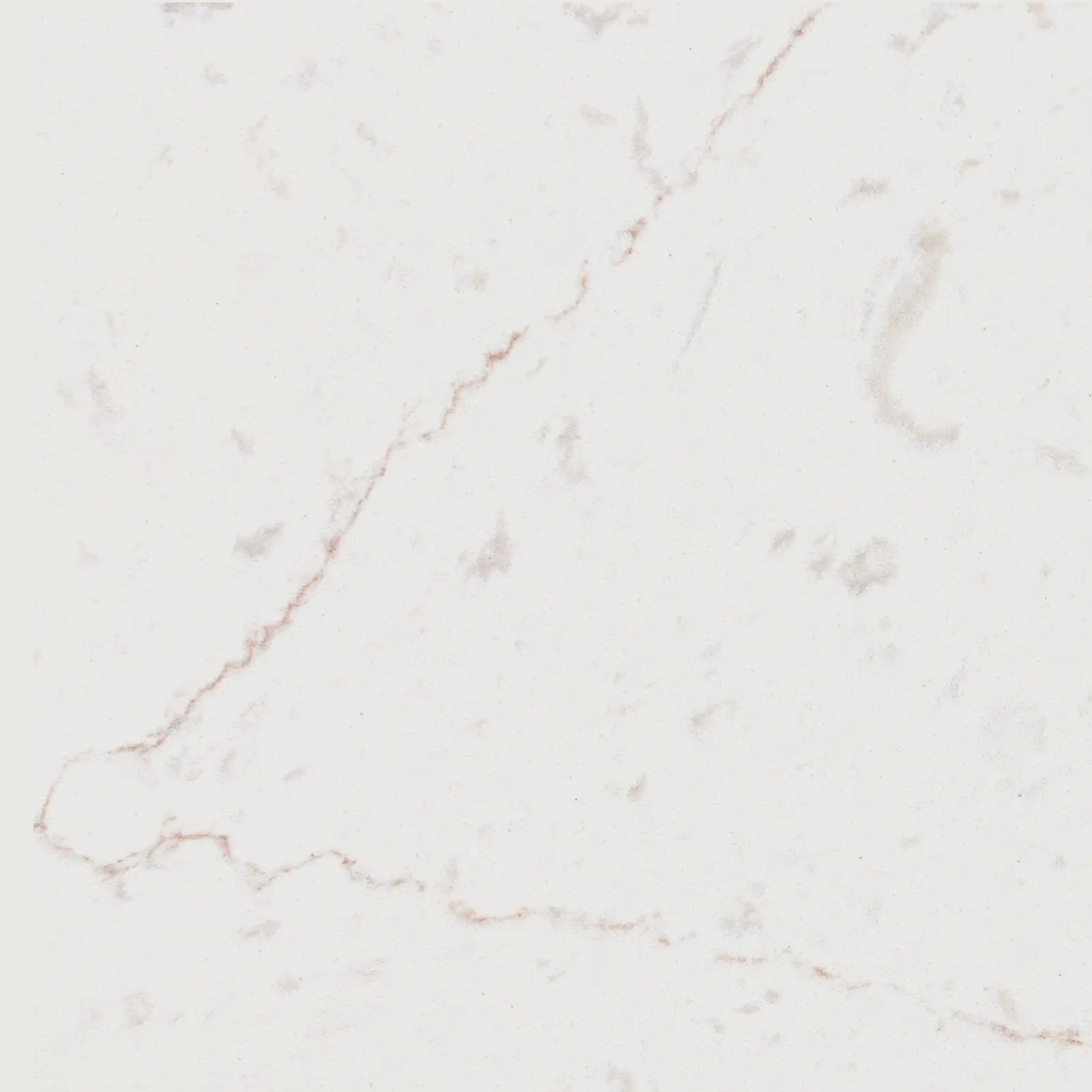 ARAVENIS BROWN SNV