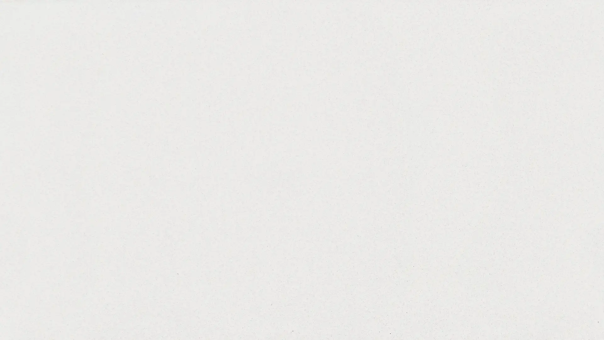 SNV BASIC WHITE