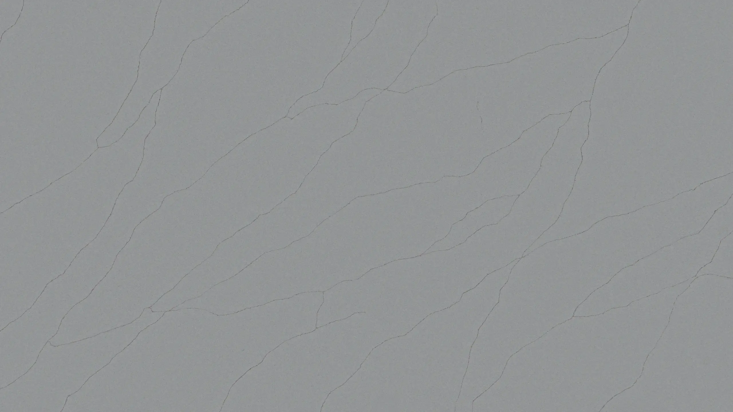 GREY ARGO CMT