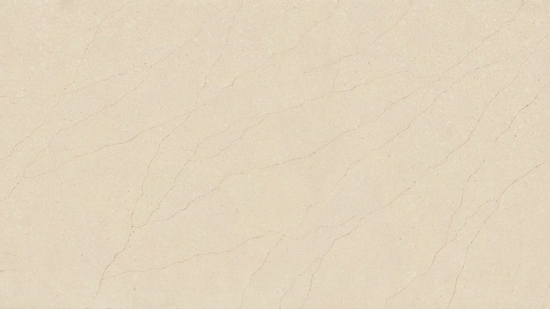 SAND VEGA CMT