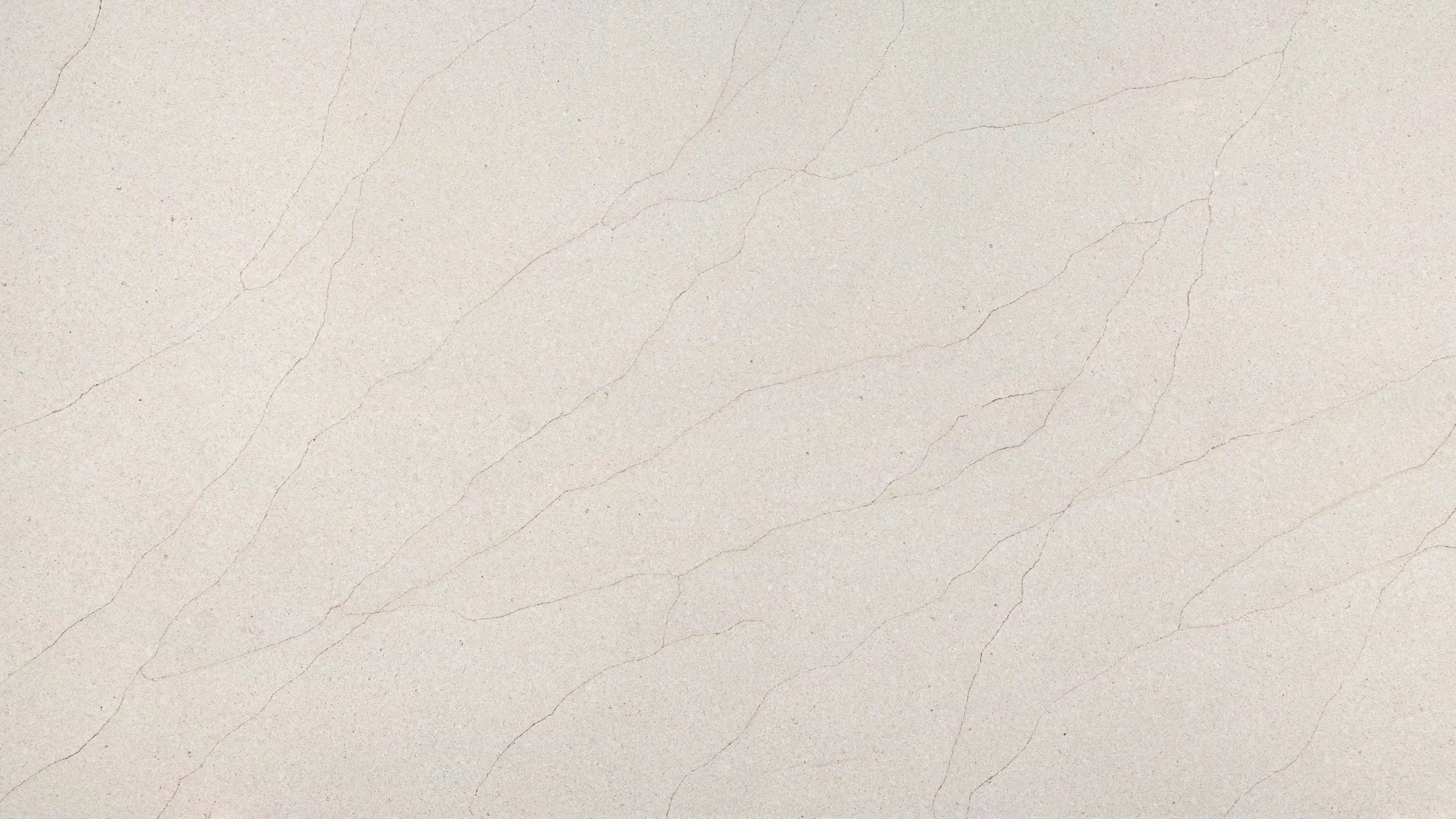 WHITE TETI CMT